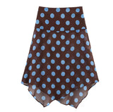 Polka Dot Brown and Blue Skirt and Top Co Ord